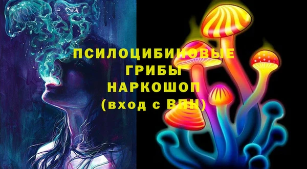 шишки Алзамай