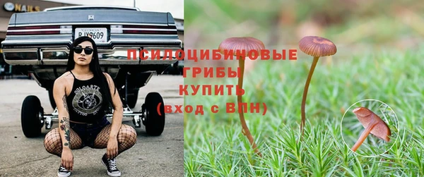 шишки Алзамай