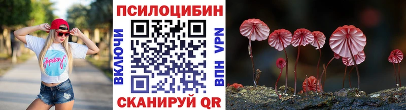 Псилоцибиновые грибы мицелий  Бокситогорск 